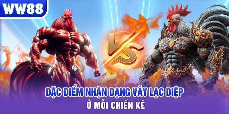 Đặc điểm nhận dạng vảy lạc diệp ở mỗi chiến kê