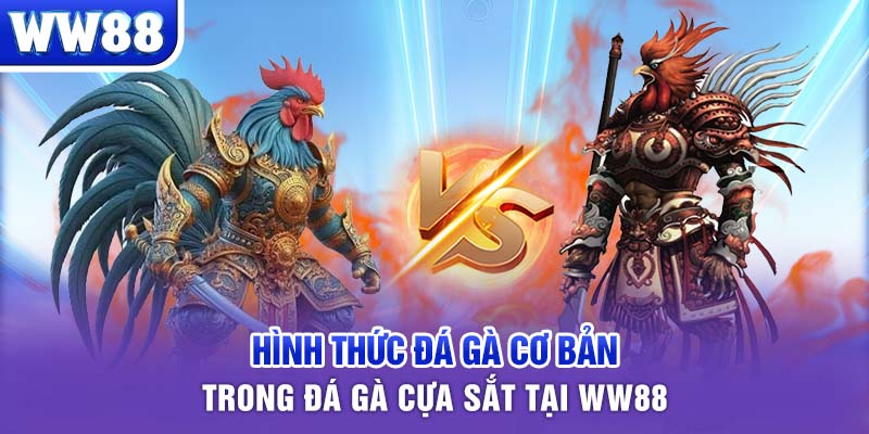 Hình thức đá gà cơ bản trong đá gà cựa sắt tại WW88