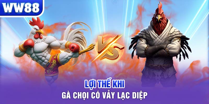 Lợi thế khi gà chọi có vảy lạc diệp