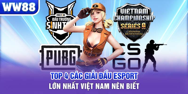 Top 4 các giải đấu Esport lớn nhất Việt Nam nên biết