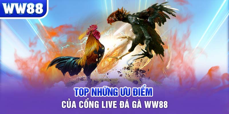 Top những ưu điểm của cổng live đá gà WW88